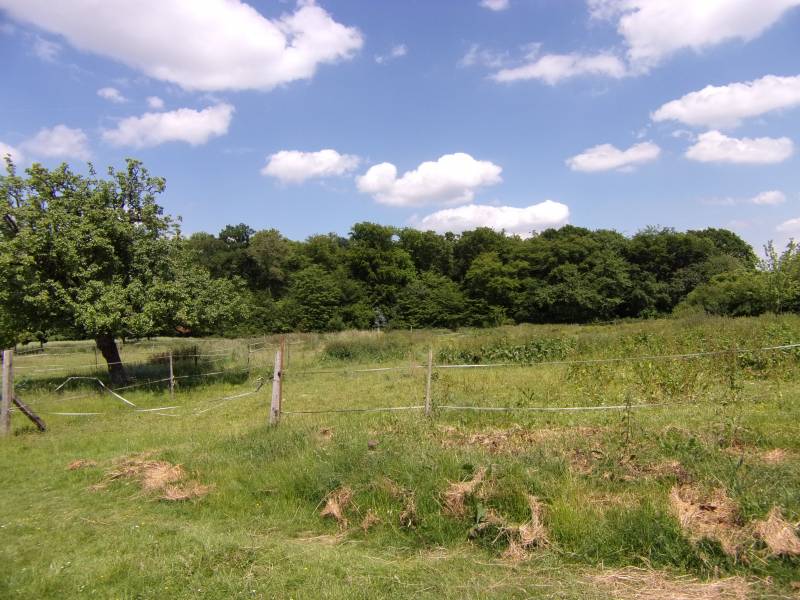 A vendre à TOSTES 27340 maison avec terrain idéal pour des chevaux