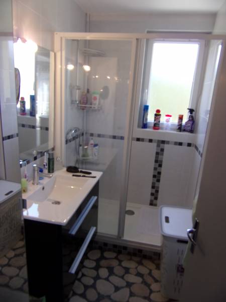 A vendre appartement F3 rénové à MUIDS - salle d'eau