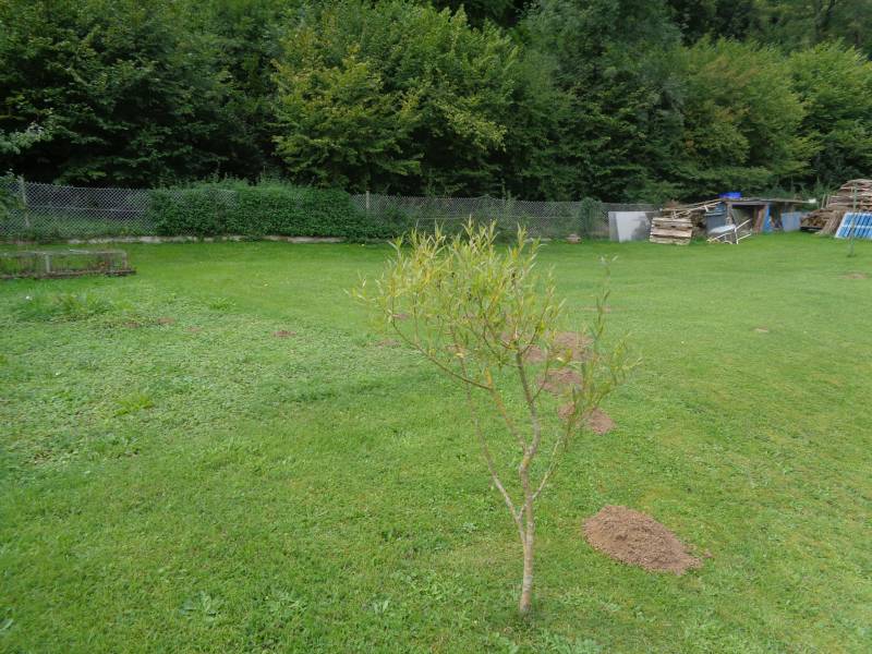 A vendre maison de plain pied sur un terrain de 1220 m²à Flipou 27380