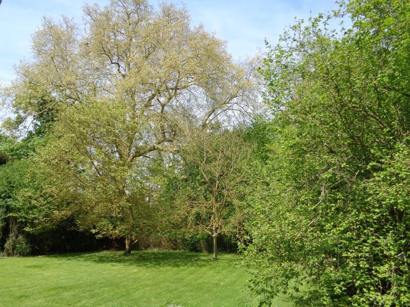 Achetez une maison bourgeoise ayant un jardin de 3600 m² à Louviers 27400