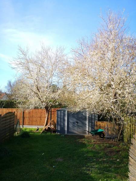 Maison mitoyenne Muids  