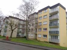 Nos prestations sur le secteur de Oissel 76350 en Seine Maritime